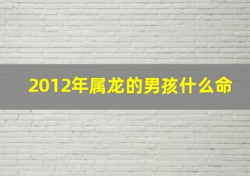 2012年属龙的男孩什么命