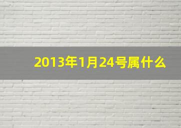 2013年1月24号属什么