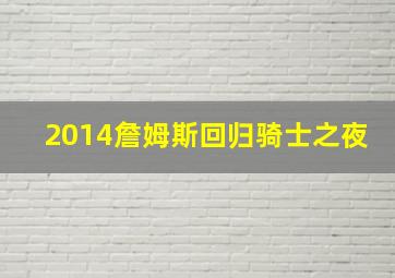 2014詹姆斯回归骑士之夜