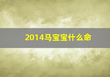 2014马宝宝什么命