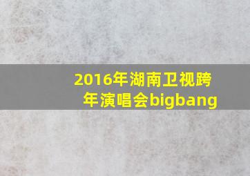 2016年湖南卫视跨年演唱会bigbang