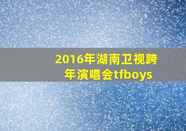 2016年湖南卫视跨年演唱会tfboys