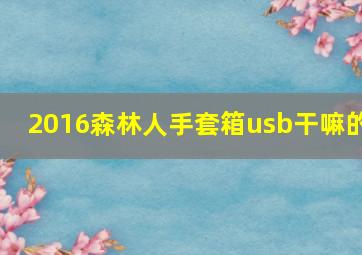 2016森林人手套箱usb干嘛的