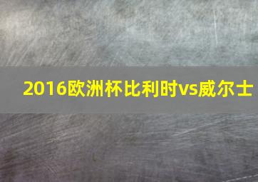 2016欧洲杯比利时vs威尔士