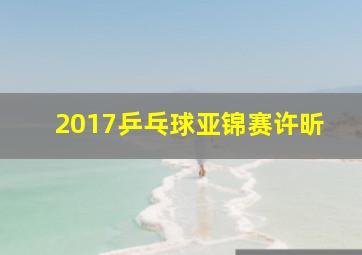 2017乒乓球亚锦赛许昕