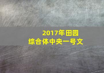 2017年田园综合体中央一号文