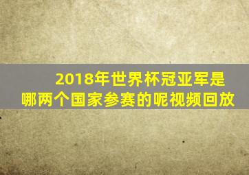 2018年世界杯冠亚军是哪两个国家参赛的呢视频回放