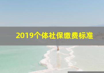 2019个体社保缴费标准