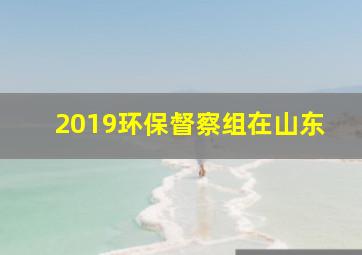 2019环保督察组在山东