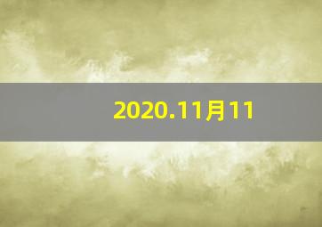 2020.11月11