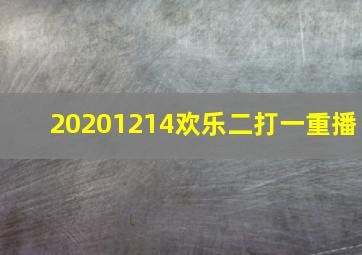 20201214欢乐二打一重播