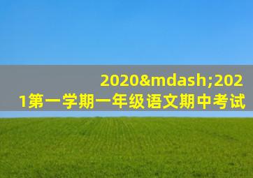 2020—2021第一学期一年级语文期中考试