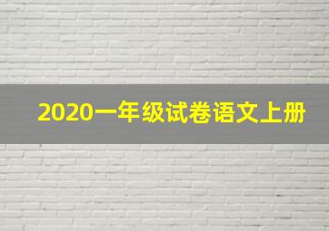 2020一年级试卷语文上册