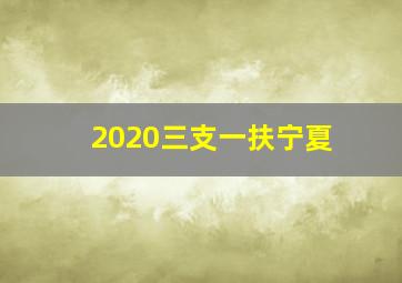 2020三支一扶宁夏