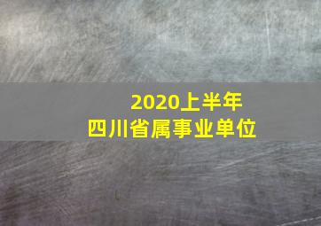 2020上半年四川省属事业单位