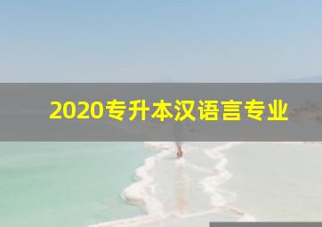 2020专升本汉语言专业