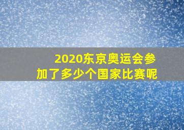 2020东京奥运会参加了多少个国家比赛呢