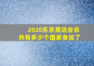 2020东京奥运会总共有多少个国家参加了