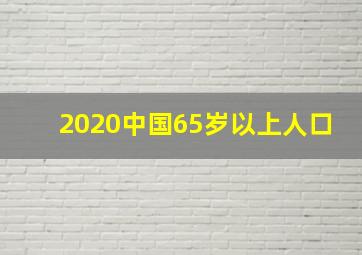 2020中国65岁以上人口