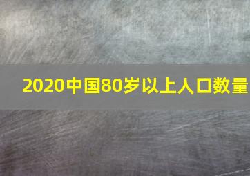 2020中国80岁以上人口数量