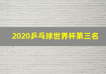 2020乒乓球世界杯第三名