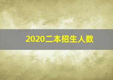 2020二本招生人数