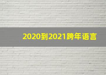 2020到2021跨年语言