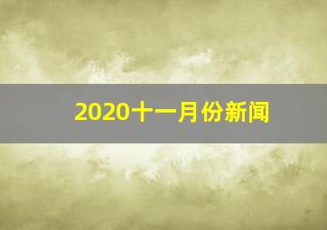 2020十一月份新闻