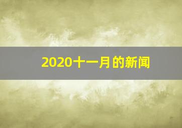 2020十一月的新闻