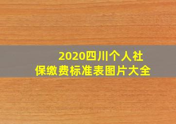 2020四川个人社保缴费标准表图片大全