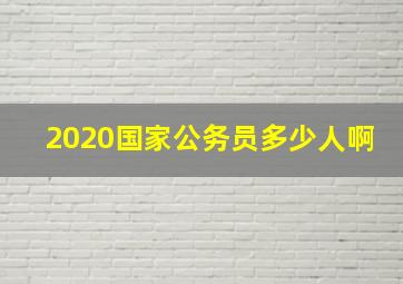 2020国家公务员多少人啊