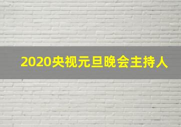 2020央视元旦晚会主持人