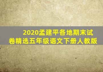 2020孟建平各地期末试卷精选五年级语文下册人教版