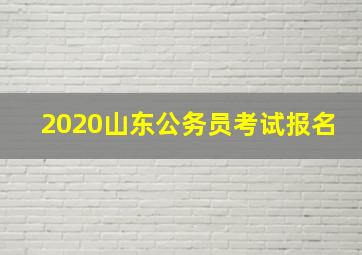 2020山东公务员考试报名