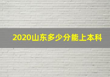 2020山东多少分能上本科