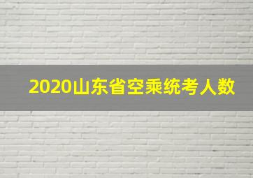 2020山东省空乘统考人数