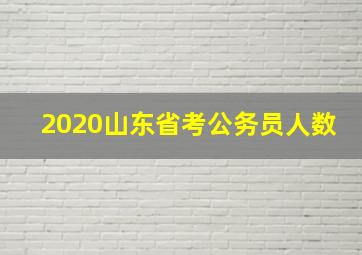 2020山东省考公务员人数