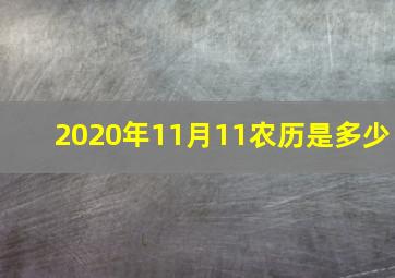 2020年11月11农历是多少