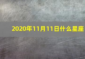 2020年11月11日什么星座