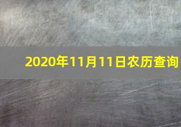 2020年11月11日农历查询