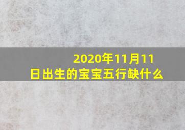 2020年11月11日出生的宝宝五行缺什么