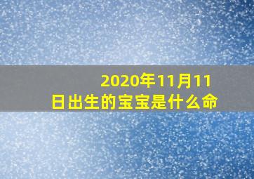 2020年11月11日出生的宝宝是什么命