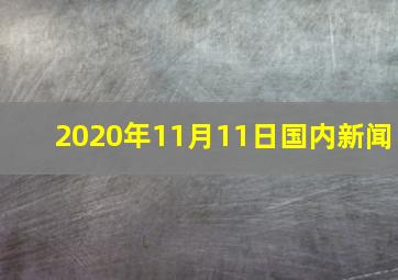 2020年11月11日国内新闻