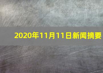 2020年11月11日新闻摘要