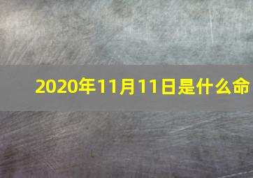 2020年11月11日是什么命