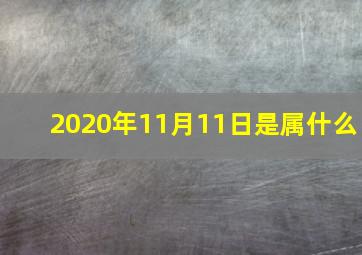 2020年11月11日是属什么