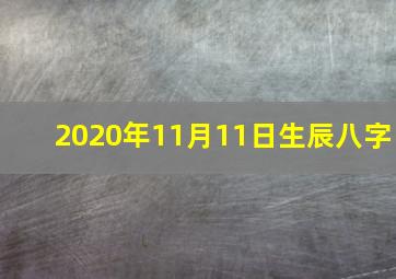 2020年11月11日生辰八字