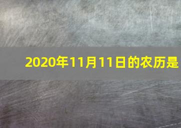 2020年11月11日的农历是