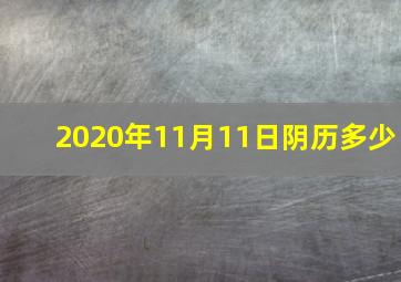 2020年11月11日阴历多少