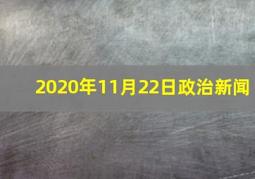 2020年11月22日政治新闻